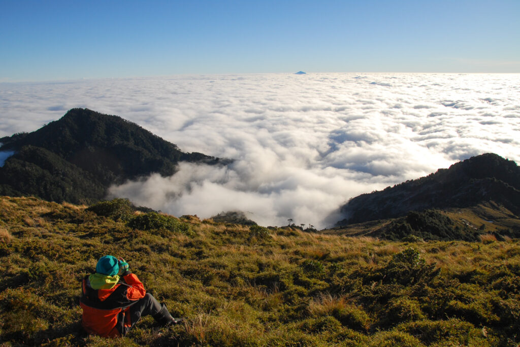 South Section 1 (南一段), the Alpine Trail in Southern Taiwan that Traverses the Splendid Cloud Beidawushan, the highest peak to the south of South Section 1, was the only thing over the cloud.