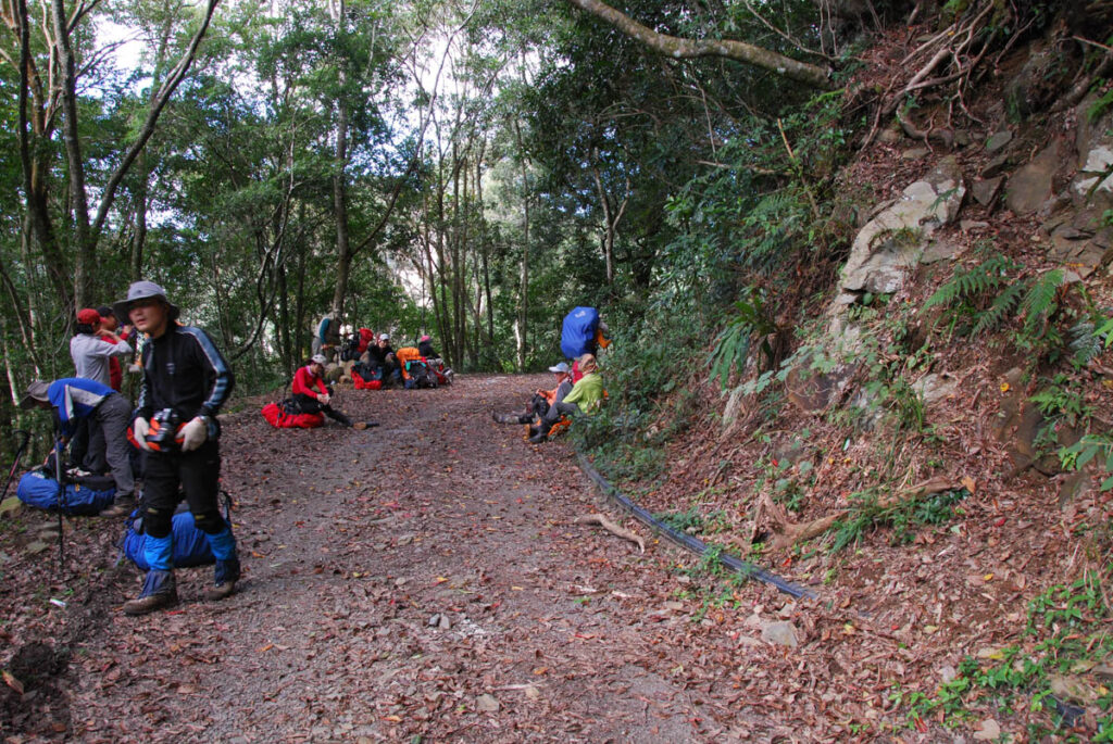 South Section 1 (南一段), the Alpine Trail in Southern Taiwan that Traverses the Splendid Cloud This was where the trail joined Shishan Forest Road again after a big descent.
