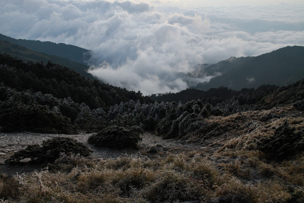 South Section 1 (南一段), the Alpine Trail in Southern Taiwan that Traverses the Splendid Cloud South Section 1