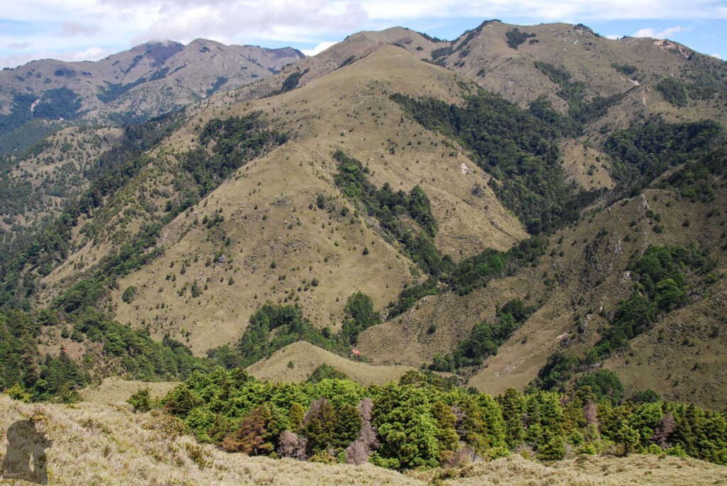 Lakuyin River Cabin in the valley