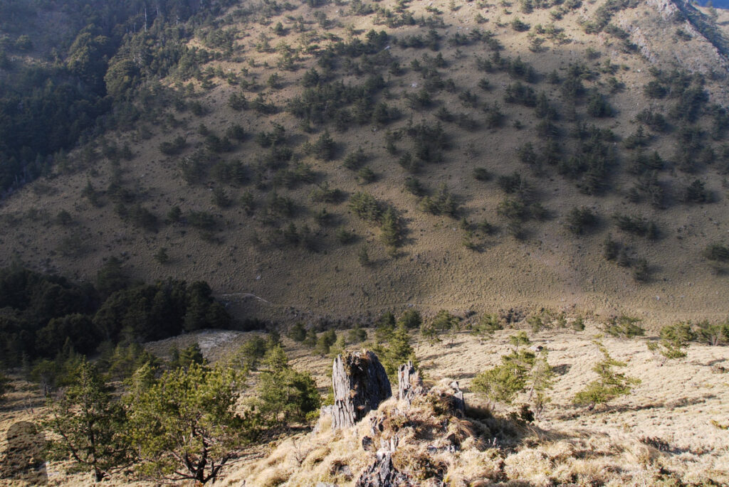 Lulu Valley