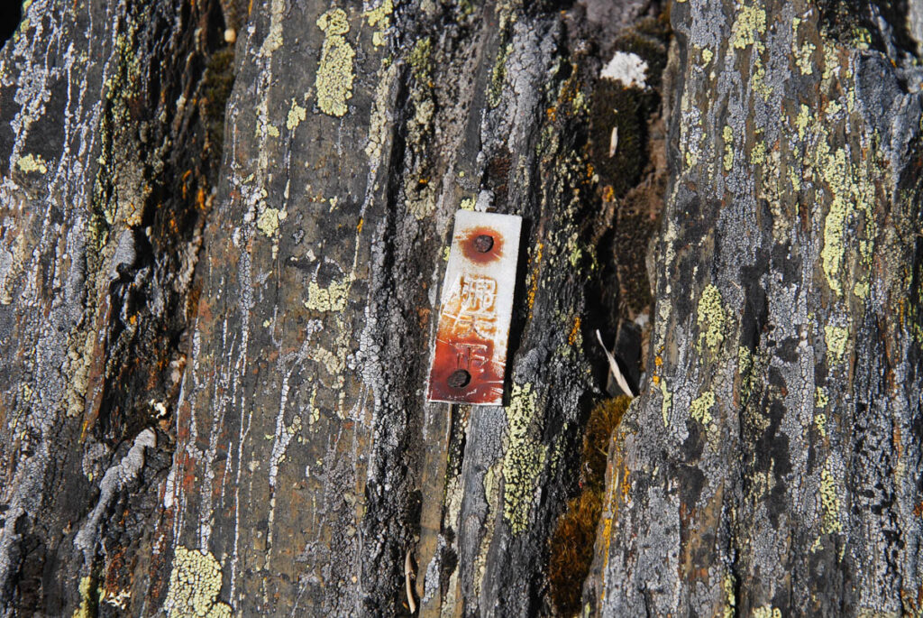 A small metal plate pinned on a rock