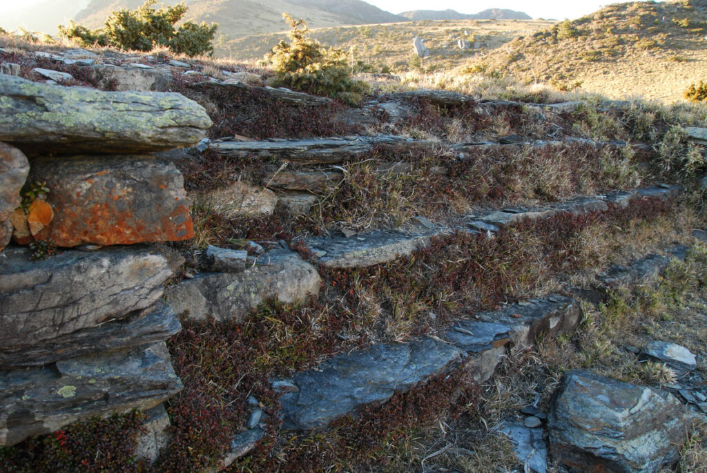 The historic site of prefecture boundary during Japanese Period is on the western side of Dashueiku Pond.