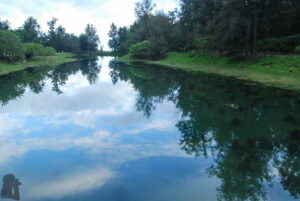Taitung Forest Park