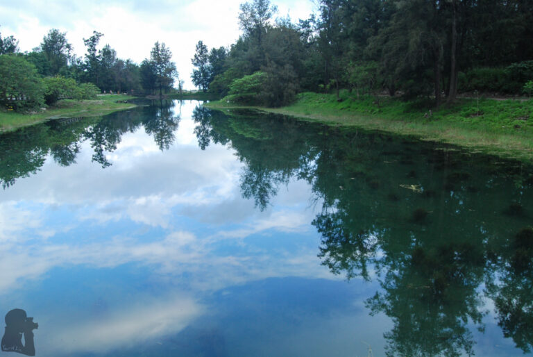 Taitung Forest Park