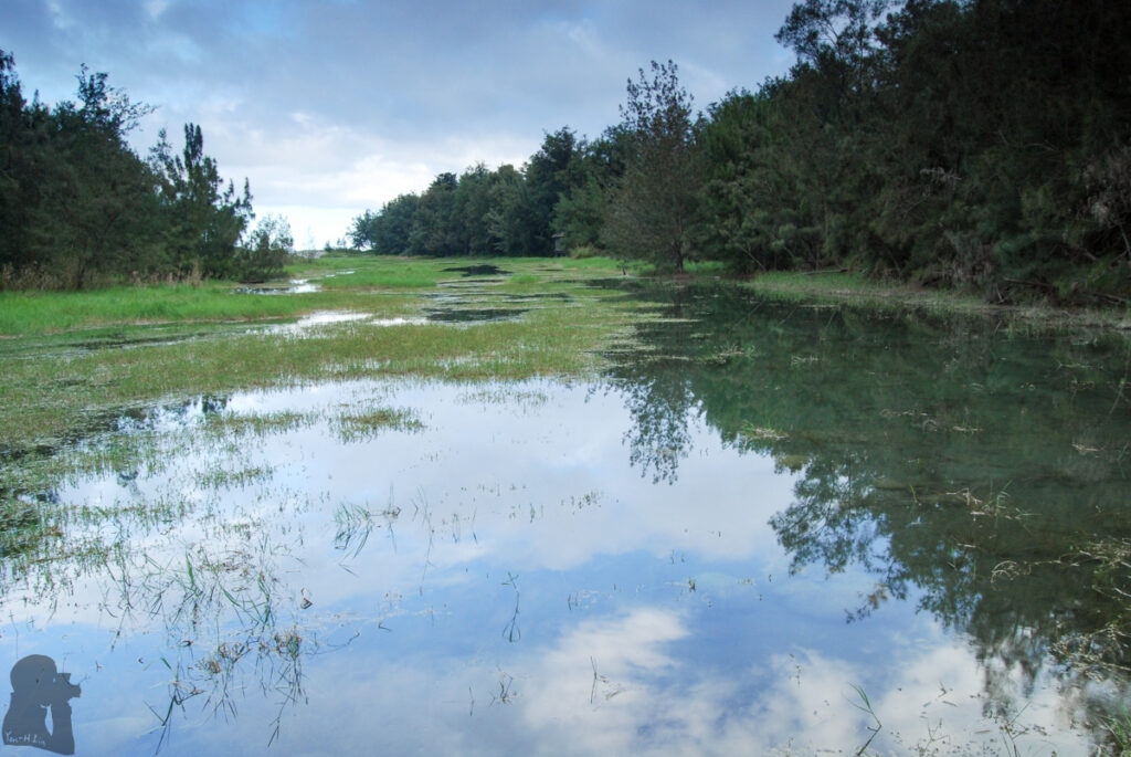 Taitung Forest Park (台東森林公園), the Urban Park with Soothing Lakes by the Pacific Ocean Taitung Forest Park