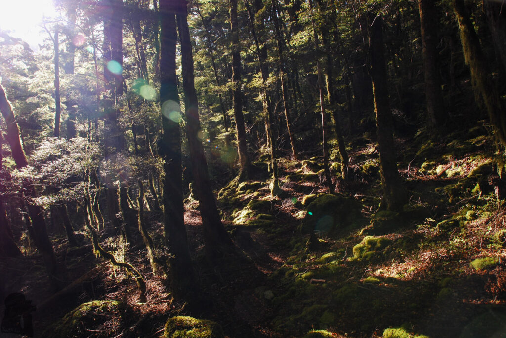 Starting the ascent toward Travers Saddle