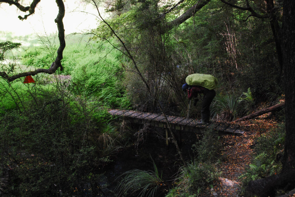 The walk from Speargrass Hut to West Sabine Hut