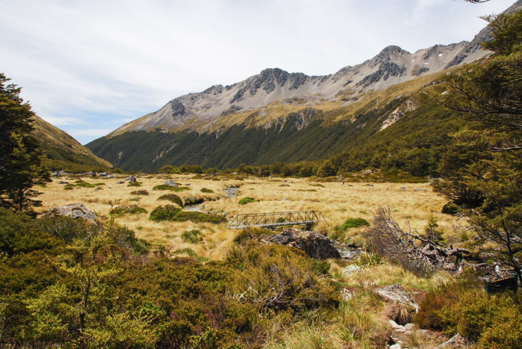 Upper Travers Valley