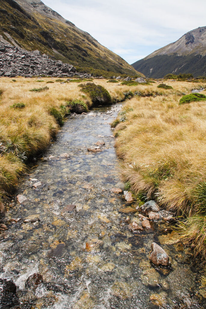 Travers River