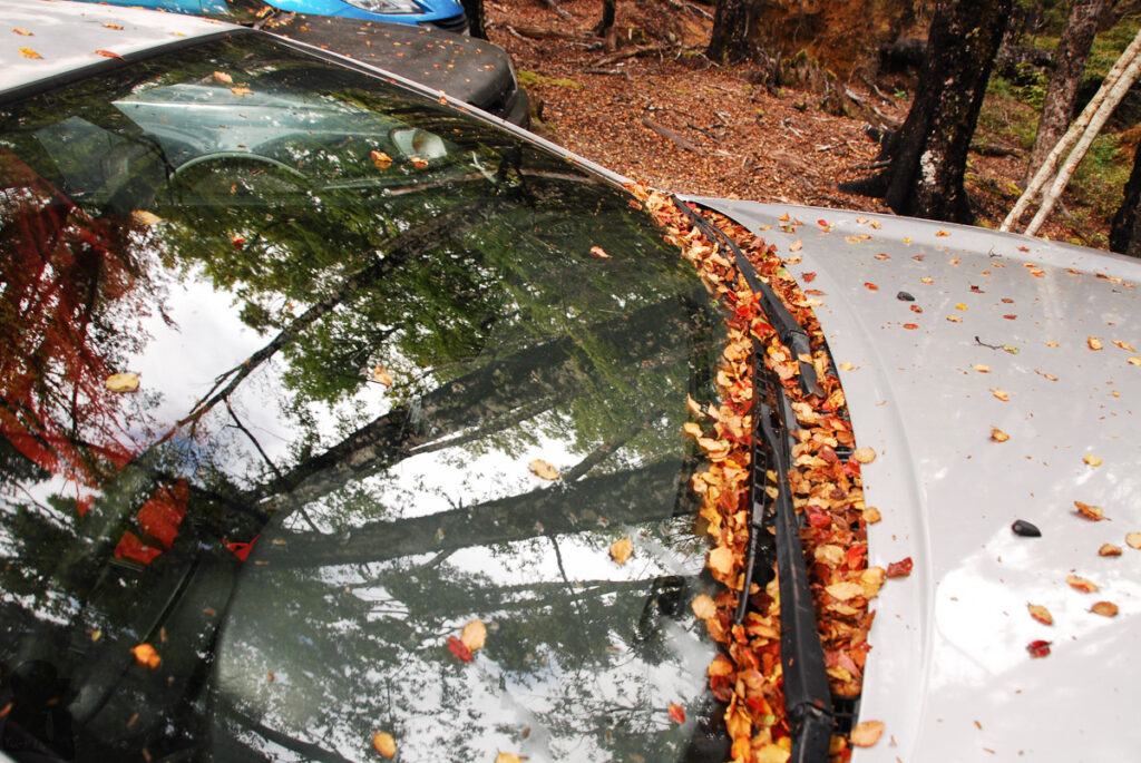 We walked back to our car; it significantly got older in eight days.
