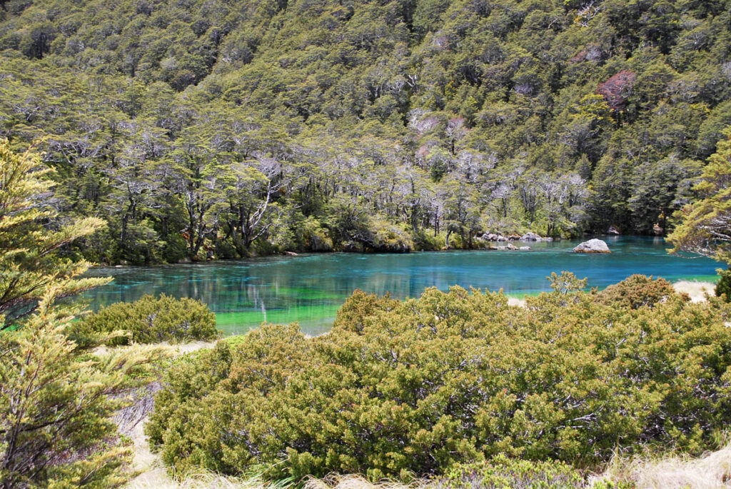 The first sight of the lake: Wow! So blue!