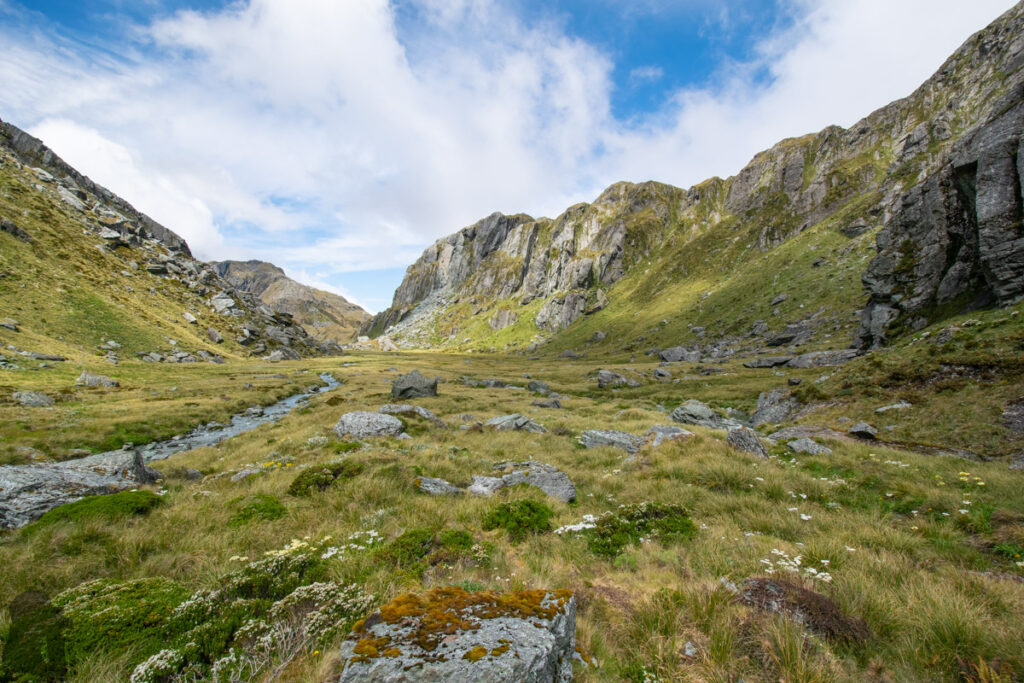 Valley of the Trolls / Lake Wilson, the Best Hidden Destination via Routeburn Track Looking back the boggy valley we passed