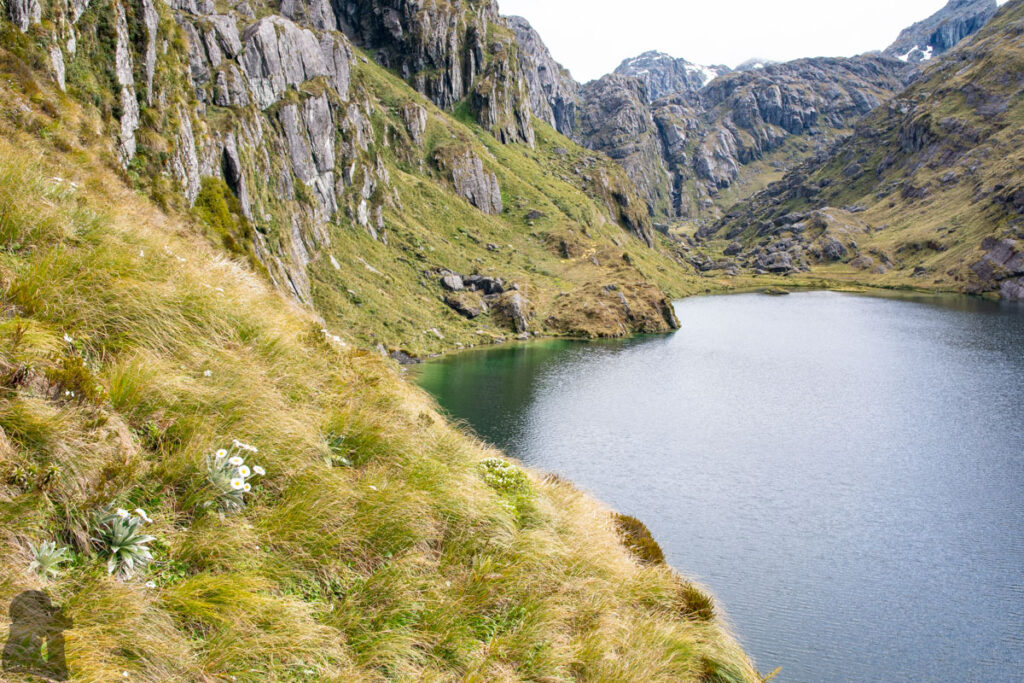 Valley of the Trolls / Lake Wilson, the Best Hidden Destination via Routeburn Track Walking along the western shore of Lake Harris