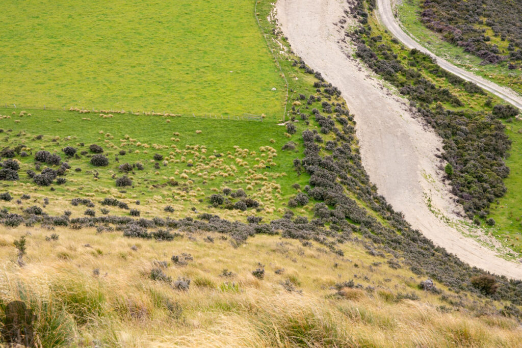 Big Ben, Big Ben Range, Overlook the Spectacular Rolling Hills of Canterbury Big Ben Route