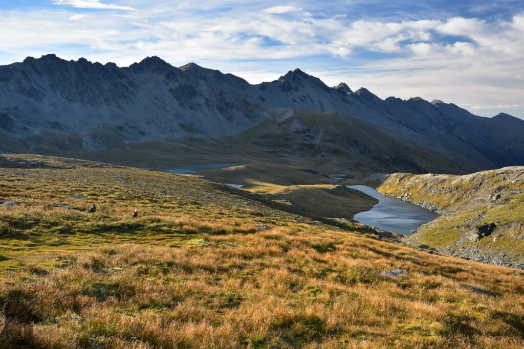 Camping on the Ridge of The Remarkables, Under the Majestic Double Cone Wye Creek Basin, a broad valley with lovely alpine lakes