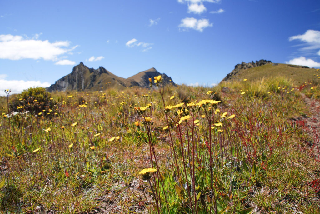 Corner Peak, the Prominent Pyramid Towering up above Lake Hāwea Corner Peak Route