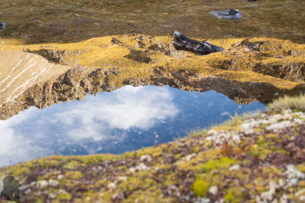 Camping in the Head of Deer Valley, via Lewis Tops Track Illusive reflection on the tarn