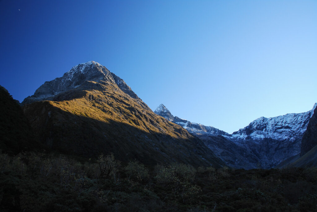 Falls Creek Route, Fiordland, a Tough Bushwhacking Hike on an "Marked" Trail Falls Creek Route