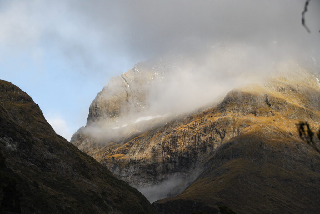 Falls Creek Route, Fiordland, a Tough Bushwhacking Hike on an "Marked" Trail Falls Creek Route