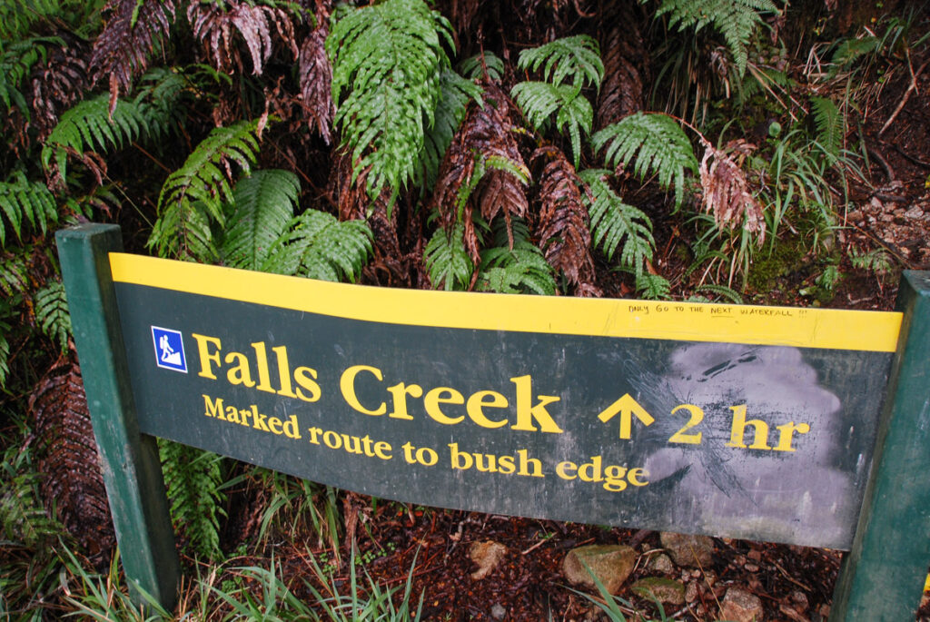 Falls Creek Route, Fiordland, a Tough Bushwhacking Hike on an "Marked" Trail Falls Creek Route