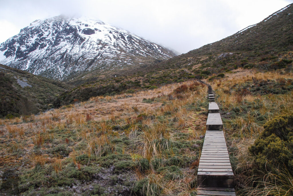 Lake Mavis, the Lovely Alpine Lake above Goat Pass in Arthur's Pass National Park (and our troubled hike) Mingha Track