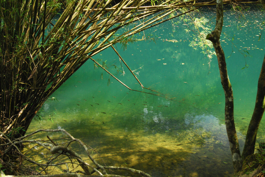 Lingering by the Shinning Green Water of Hubaotan (虎豹潭), Shuangxi Hubaotan (Hubao Pond 虎豹潭)
