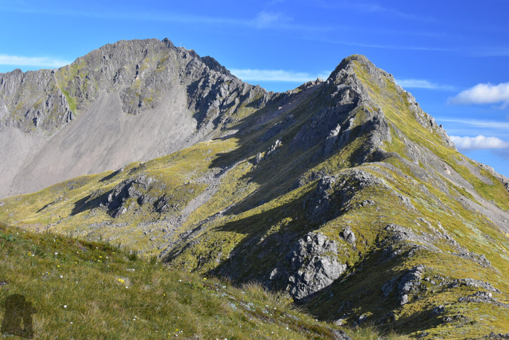 Camping under The Apprentice, via Lewis Tops Track Mt. Technical with a tall pole and trig on its top