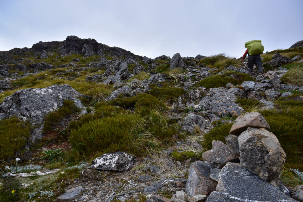 Camping under The Apprentice, via Lewis Tops Track Climbing back to Lewis Tops