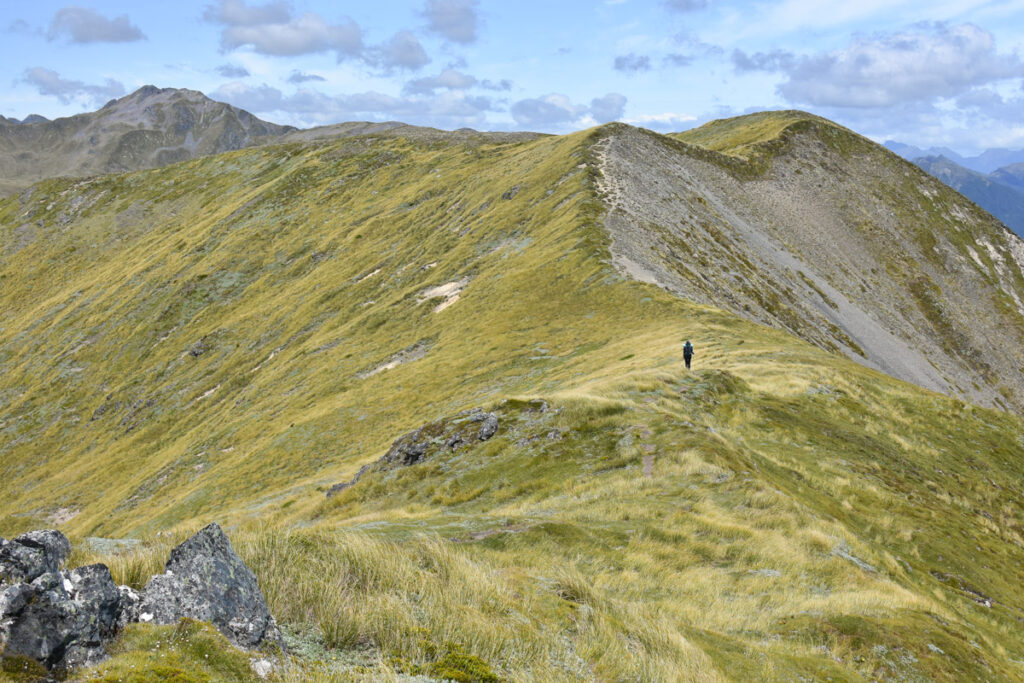 Camping under The Apprentice, via Lewis Tops Track Lewis Tops