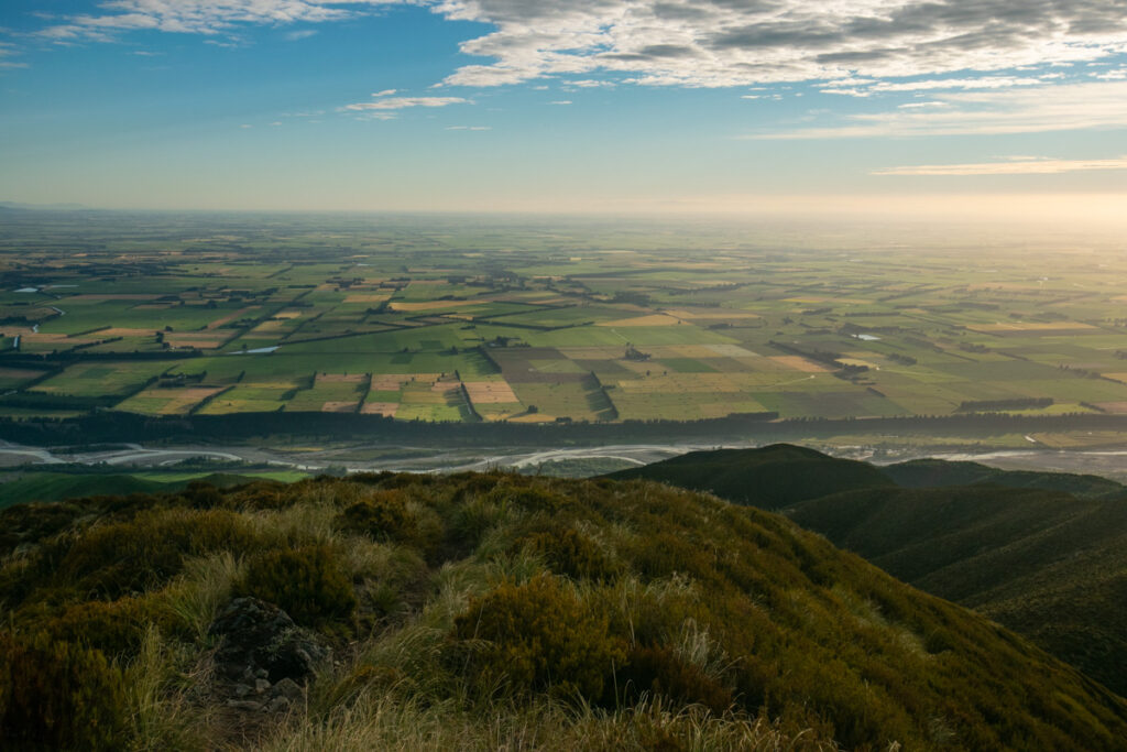 Canterbury Plain