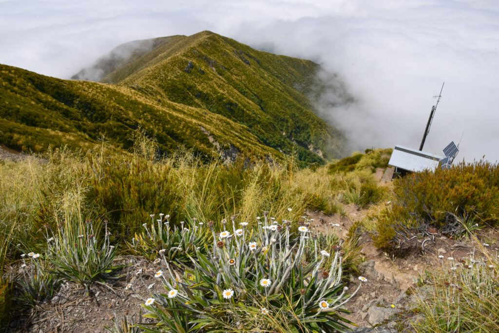 Little Mt Peel / Huatekerekere, a Day Hike above the Edge of Canterbury Plain Tristram Harper Memorial Shelter under the peak