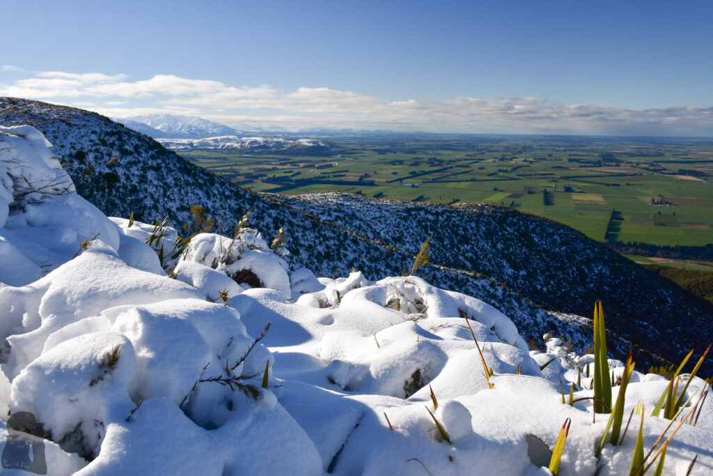 Little Mt Peel in snow