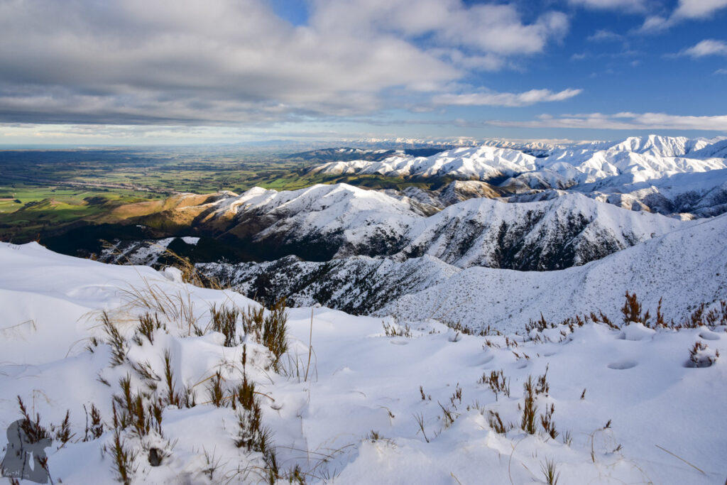 Little Mt Peel in snow