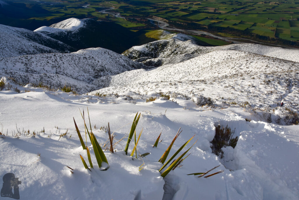 Little Mt Peel in snow