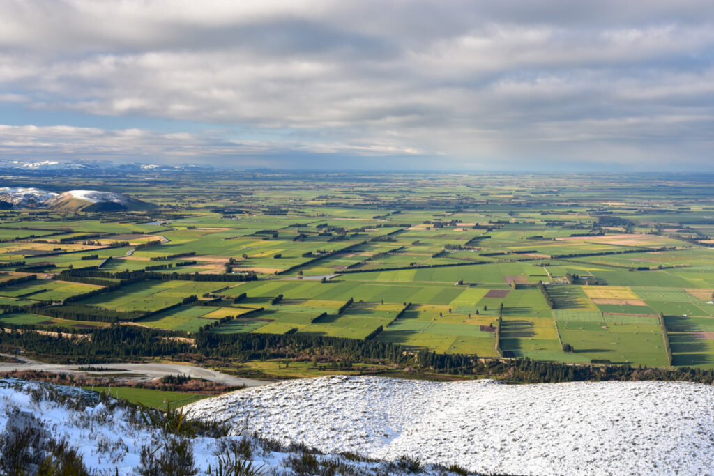 Canterbury Plain
