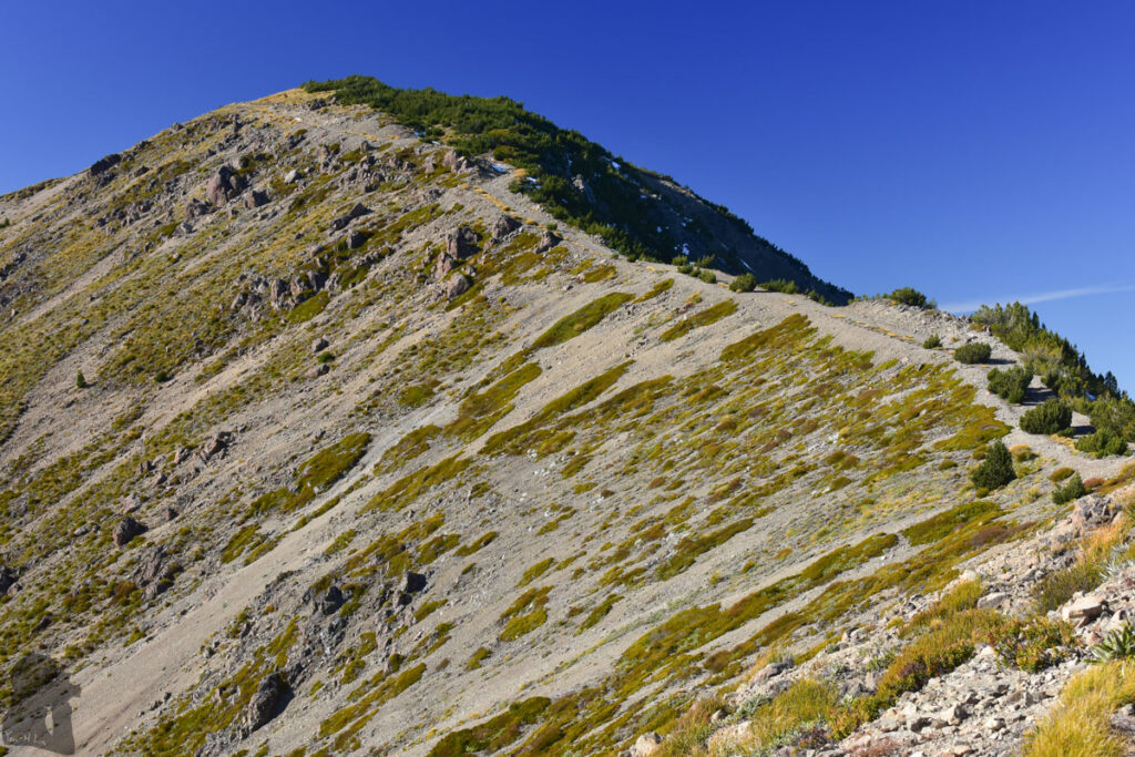 Mt. Fyffe, the Peak with the Bird's Eye View across Kaikōura Peninsula Mt Fyffe Track