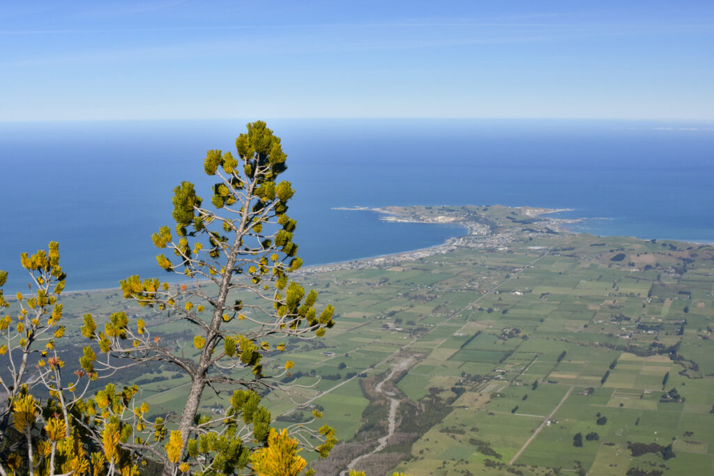 Mt. Fyffe, the Peak with the Bird's Eye View across Kaikōura Peninsula The plain and Kaikōura Peninsula