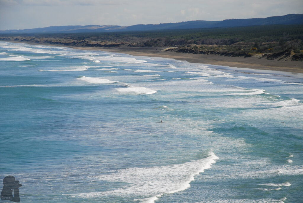Muriwai Beach, the Gannet Colony, and the Healing Waves along the Western Coast of Auckland Muriwai Beach