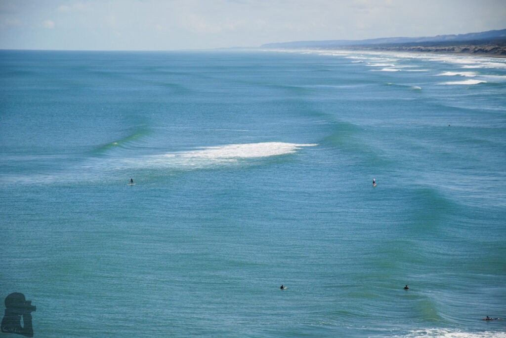 Muriwai Beach, the Gannet Colony, and the Healing Waves along the Western Coast of Auckland Muriwai Beach