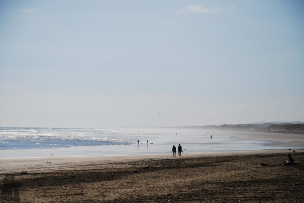 Muriwai Beach, the Gannet Colony, and the Healing Waves along the Western Coast of Auckland Muriwai Beach