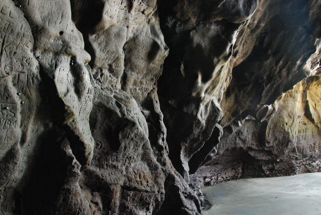 Muriwai Beach, the Gannet Colony, and the Healing Waves along the Western Coast of Auckland Muriwai Grotto