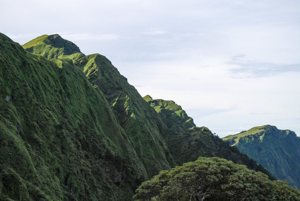 Nenggao-Andongjun Trail (能高安東軍); Hiking on the Dreamy Alpine Grassland Underneath Nenggaoshan South Peak (能高南峰)