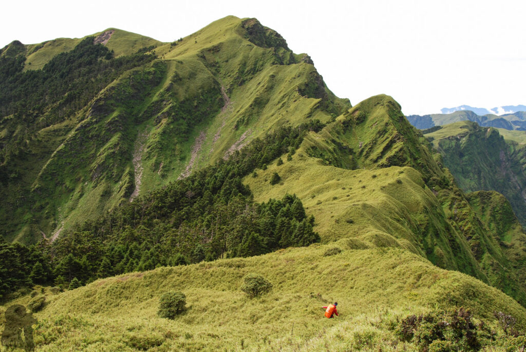 Nenggao-Andongjun Trail (能高安東軍); Hiking on the Dreamy Alpine Grassland Nenggaoshan South Peak