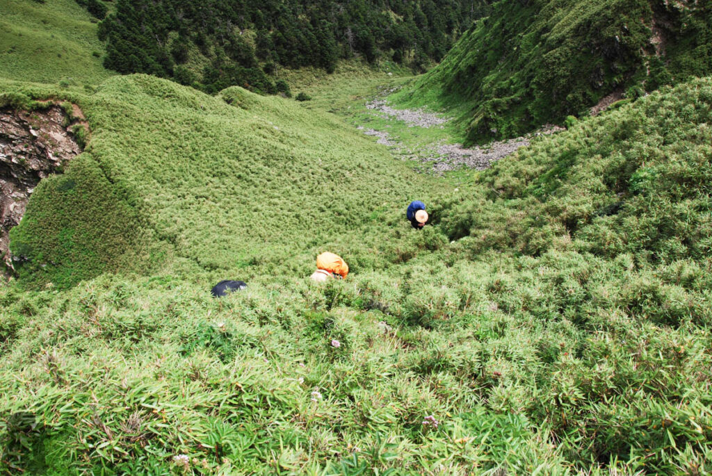 Nenggao-Andongjun Trail (能高安東軍); Hiking on the Dreamy Alpine Grassland Everyone fought against endless arrow bamboo.