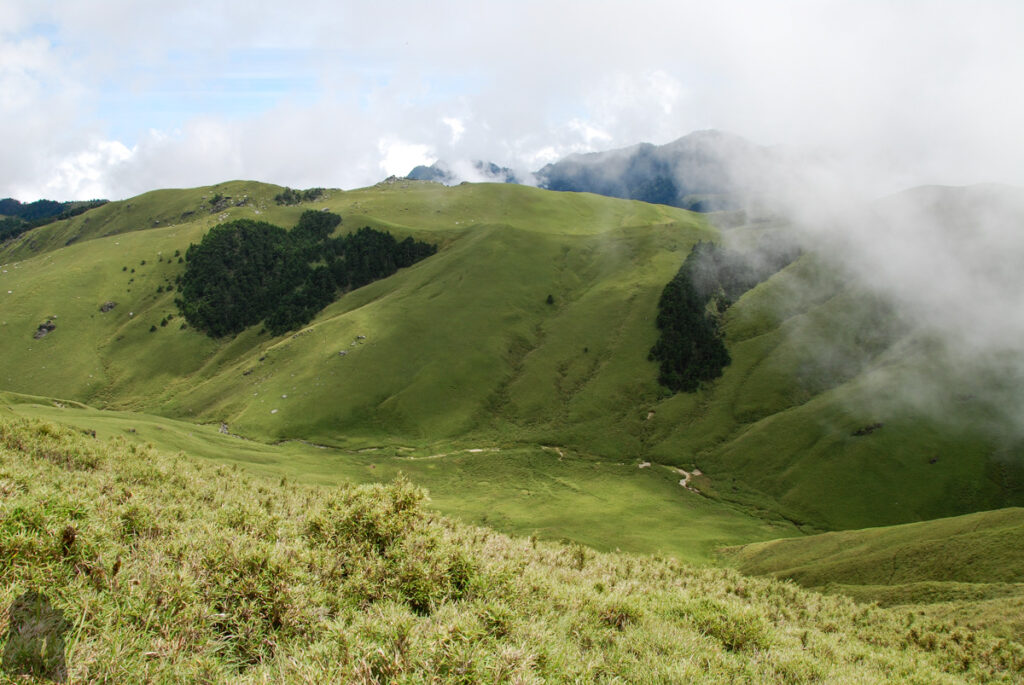 Nenggao-Andongjun Trail (能高安東軍); Hiking on the Dreamy Alpine Grassland Nenggao Andongjun
