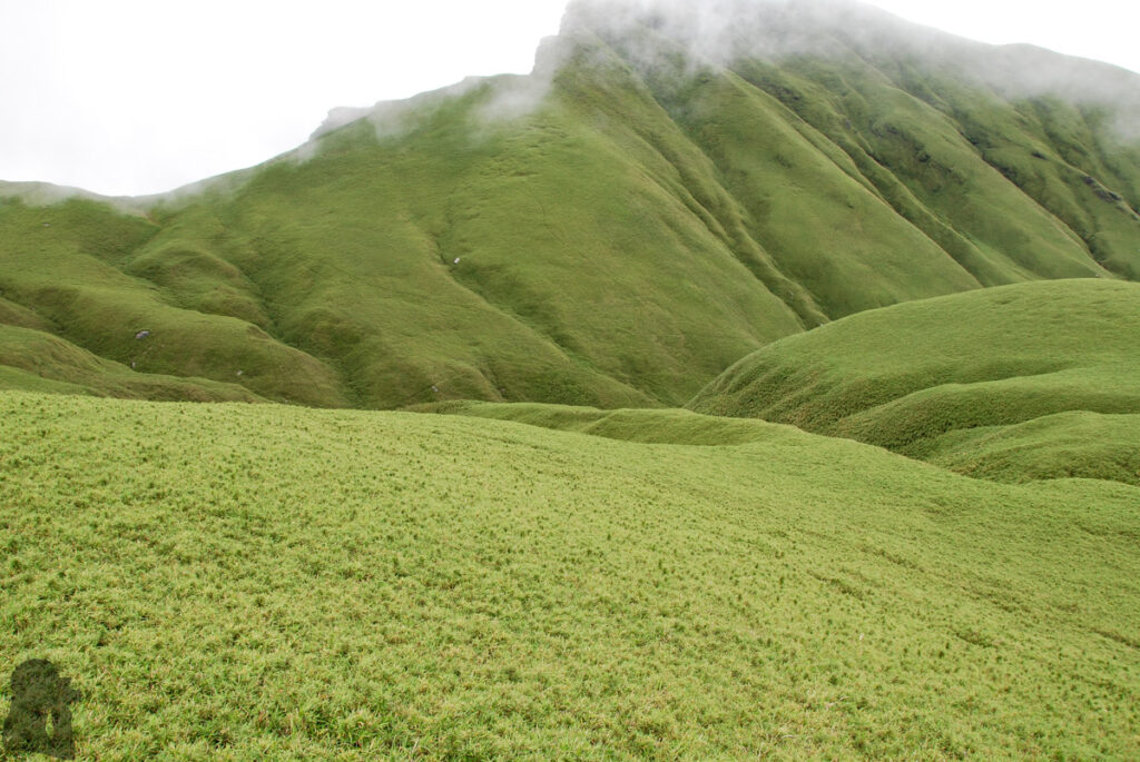 Nenggao-Andongjun Trail (能高安東軍); Hiking on the Dreamy Alpine Grassland Nenggao Andongjun