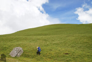 green gentle slope on Nenggao-Andongjun Trail