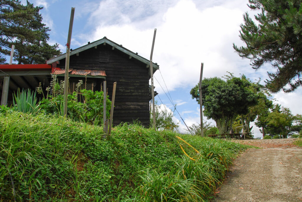 Nenggao-Andongjun Trail (能高安東軍); Hiking on the Dreamy Alpine Grassland Yunhai Line Station (雲海保線所) on Nenggao Cross-Ridge Trail (能高越嶺)