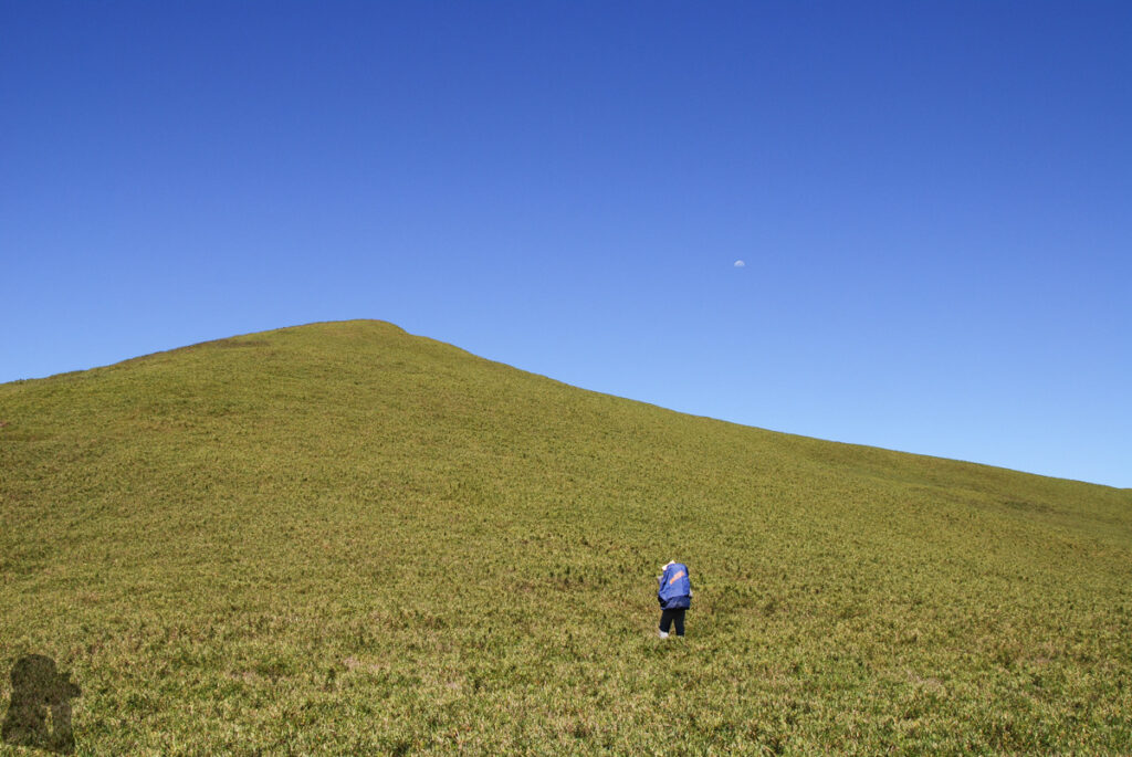 Nenggao-Andongjun Trail (能高安東軍); Hiking on the Dreamy Alpine Grassland green gentle slope along Nenggao-Andongjun Trail